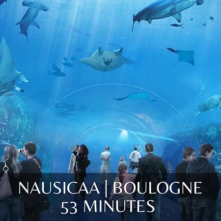 Osaka - Elegance Et Zenitude - 5 Min Dunkirk