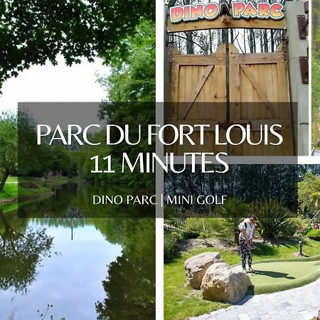 Osaka - Elegance Et Zenitude - 5 Min * Dunkirk